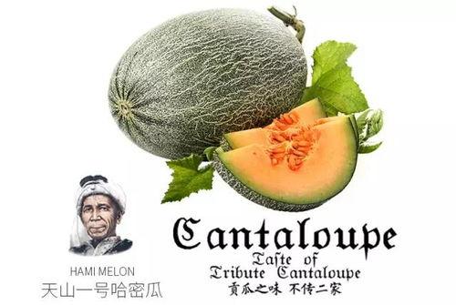 《算命吃瓜》推荐理由,揭秘神秘命理，畅享趣味人生解读