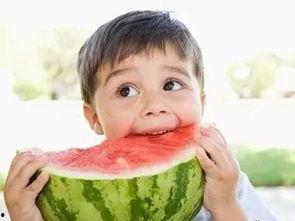 《算命吃瓜》推荐理由,揭秘神秘命理，畅享趣味人生解读