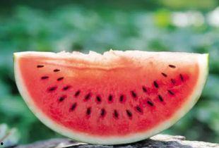 离谱吃瓜活章鱼小说,活章鱼带你探索神秘海洋世界