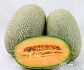 吃哈密瓜的蚊子,哈密瓜诱惑下的蚊子传奇