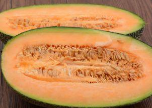 吃哈密瓜的蚊子,哈密瓜诱惑下的蚊子传奇