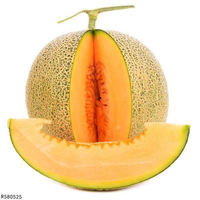 吃哈密瓜的蚊子,哈密瓜诱惑下的蚊子传奇