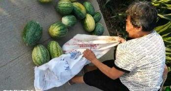 抚州吃瓜事情视频最新,真相与谣言的较量