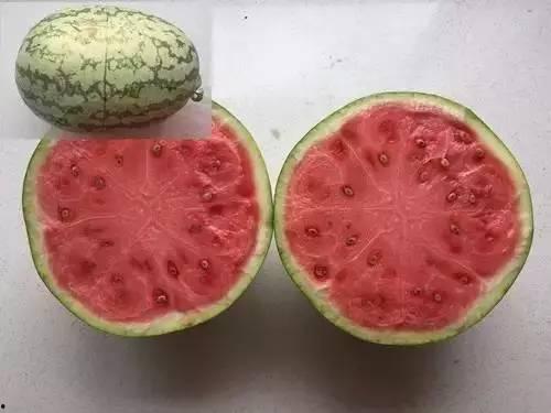 假分装香水吃瓜,一场关于品质与信任的较量