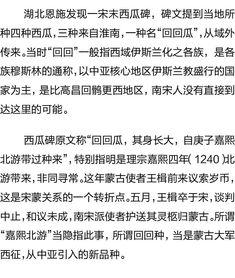 吃瓜群众的通知,一场全民参与的娱乐盛宴