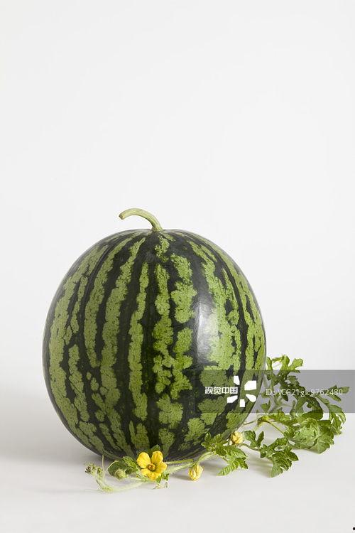 吃瓜四月,盘点娱乐圈热点事件