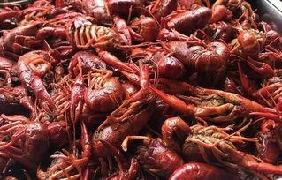 吃龙虾能吃瓜么,吃瓜消暑两不误？