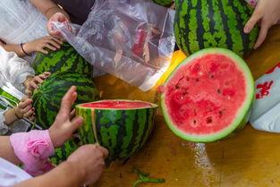 美国免费吃瓜视频