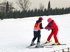 滑雪车车吃瓜,揭秘冬季运动中的趣味瞬间