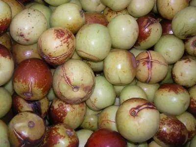 吃大瓜吃枣果,大瓜与枣果的甜蜜邂逅