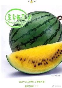 吃瓜村口集合,揭秘乡村生活百态