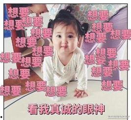 吃瓜吵架配乐视频,笑料百出，欢乐无限