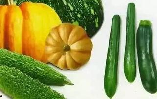 无色瓜可以吃吗,揭秘其食用安全与营养价值