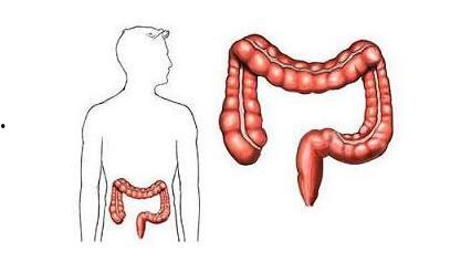 肠癌手术后吃贝贝瓜,贝贝瓜助力康复之旅