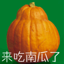 qq吃瓜大表情 第3张 qq吃瓜大表情 第3张