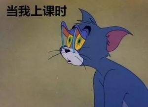 凭心情吃瓜,畅享夏日清凉美食之旅  第2张