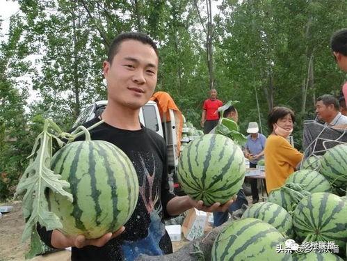 夏邑最新吃瓜事件,揭秘网络热议背后的真相 第3张 夏邑最新吃瓜事件,揭秘网络热议背后的真相 第3张