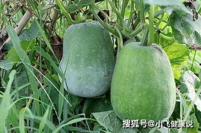 女人每天吃红瓜 第1张 女人每天吃红瓜 第1张