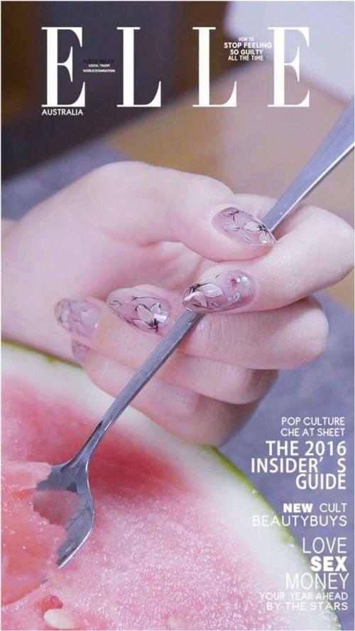 蝶瓜怎样吃,探索蝶瓜的美味之旅 第2张 蝶瓜怎样吃,探索蝶瓜的美味之旅 第2张