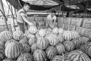 吃瓜不断齐川,揭秘娱乐圈背后的故事  第1张