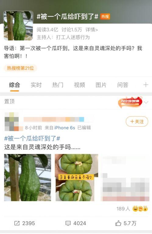 吃大瓜的昵称,网络红人背后的故事与魅力  第3张