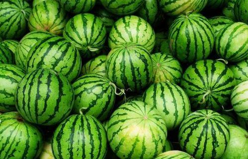 夏天吃四瓜都啥瓜,夏日四瓜养生攻略 第1张 夏天吃四瓜都啥瓜,夏日四瓜养生攻略 第1张