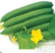 夏天吃四瓜都啥瓜,夏日四瓜养生攻略 第2张 夏天吃四瓜都啥瓜,夏日四瓜养生攻略 第2张