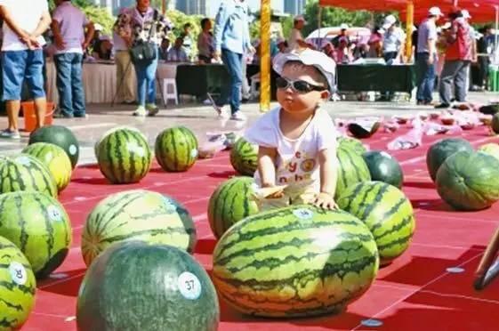 吃瓜王比赛,舌尖上的狂欢盛宴 第3张 吃瓜王比赛,舌尖上的狂欢盛宴 第3张