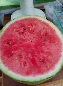 康复医院吃瓜,揭秘康复生活点滴 第2张 康复医院吃瓜,揭秘康复生活点滴 第2张