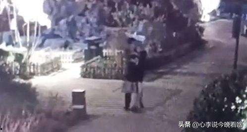 砀山吃瓜打架视频,一场网络热议的街头冲突  第2张