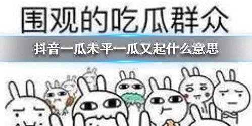 抖音吃瓜前线,揭秘热门事件背后的真相  第1张