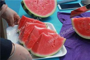 文峰吃瓜,揭秘娱乐圈幕后故事 第3张 文峰吃瓜,揭秘娱乐圈幕后故事 第3张