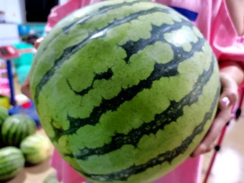 吃瓜球赛 第3张 吃瓜球赛 第3张