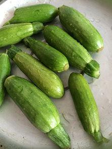 瓜要怎么做了吃,解锁夏日清凉美味新吃法 第2张 瓜要怎么做了吃,解锁夏日清凉美味新吃法 第2张