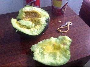 重庆吃瓜被噎,一场美食与安全的碰撞  第3张