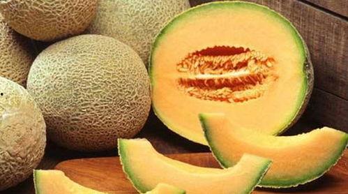 嗨氏吃哈密瓜  第3张