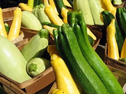 夏季吃的甜蜜瓜是什么瓜,夏日甜蜜瓜品鉴指南 第1张 夏季吃的甜蜜瓜是什么瓜,夏日甜蜜瓜品鉴指南 第1张