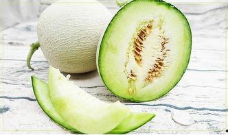 夏季吃的甜蜜瓜是什么瓜,夏日甜蜜瓜品鉴指南 第2张 夏季吃的甜蜜瓜是什么瓜,夏日甜蜜瓜品鉴指南 第2张