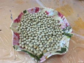 五一旅游吃瓜,吃瓜之旅欢乐多 第1张 五一旅游吃瓜,吃瓜之旅欢乐多 第1张