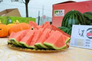 五一旅游吃瓜,吃瓜之旅欢乐多 第2张 五一旅游吃瓜,吃瓜之旅欢乐多 第2张