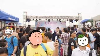 热心朝阳吃瓜群众,揭秘网络舆论背后的故事  第2张