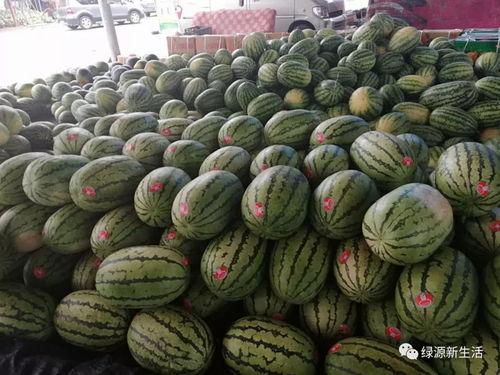 动态吃瓜壁纸高清,捕捉瓜界潮流瞬间  第3张