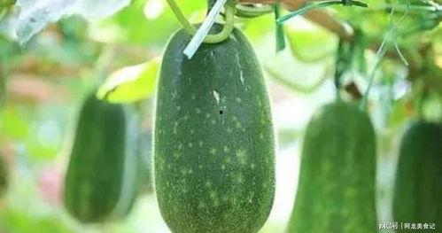 8月吃的瓜  第3张