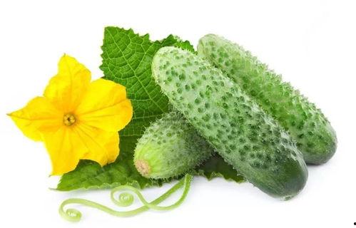 吃瓜系统宋大人,揭秘娱乐圈背后的故事  第1张