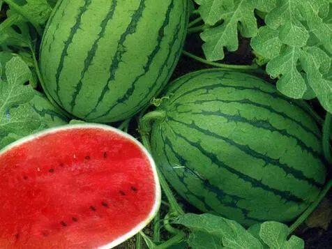 吃瓜系统宋大人,揭秘娱乐圈背后的故事  第3张