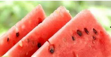 肾炎患者可否吃瓜,瓜类食物的适宜与禁忌  第3张