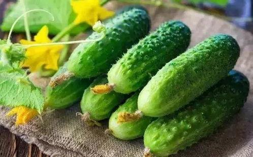 春吃芽夏吃瓜怎么吃,四季饮食智慧，健康生活指南  第2张