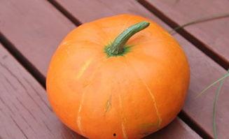 孕期可以吃秋瓜,秋季孕妇的滋补佳选  第2张