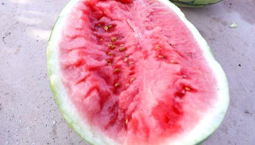 吹风扇吃瓜屏保,吹风扇吃瓜，畅享清凉一夏屏保生活  第2张