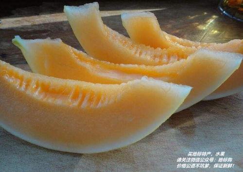 吃民勤哈密瓜视频,甘甜滋味，视觉与味蕾的双重盛宴  第3张